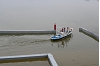 Saito20260614-12.JPG