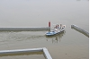 Saito20260614-12.JPG