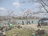 20180401-18.JPG